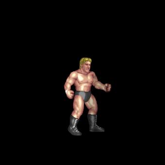Seth Rollins Taunt