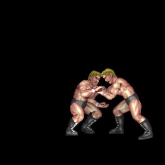 Skywalker (Seth Rollins)