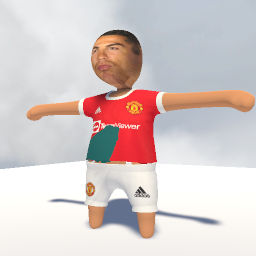 SHADOUW