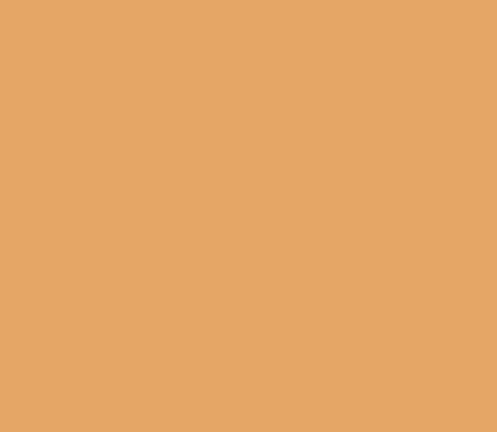 Brown sugar color wallpaper