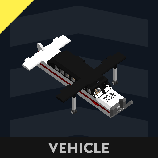 Benards Plane (2010)