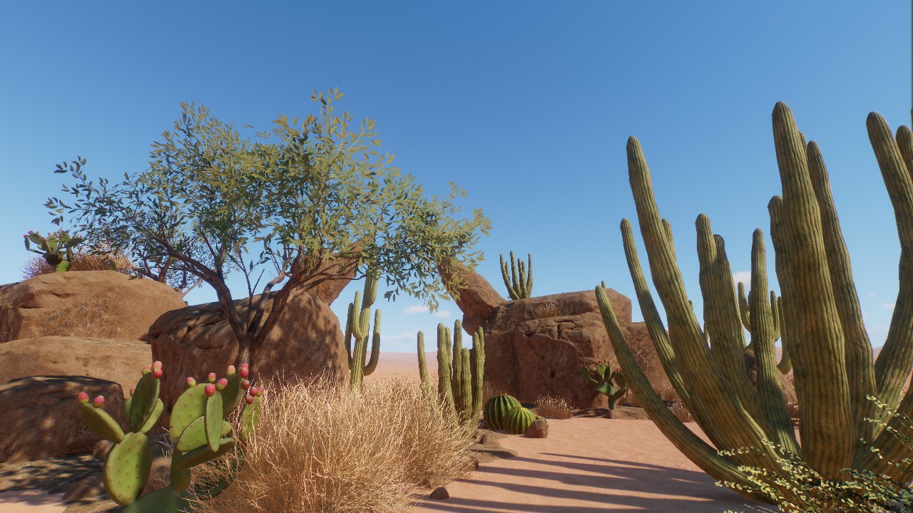 Desert Rock Scenery 5