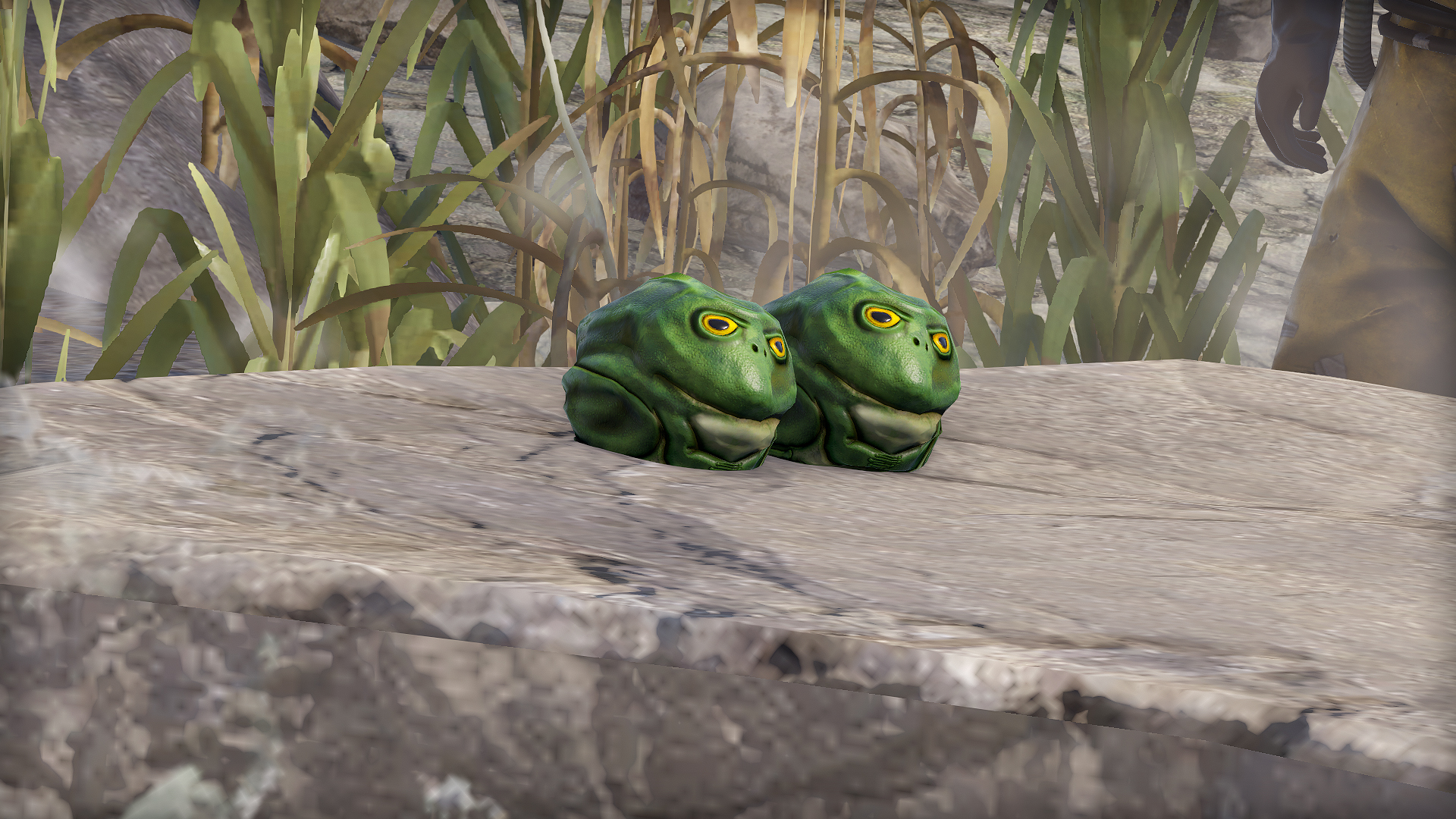 Frog Rock