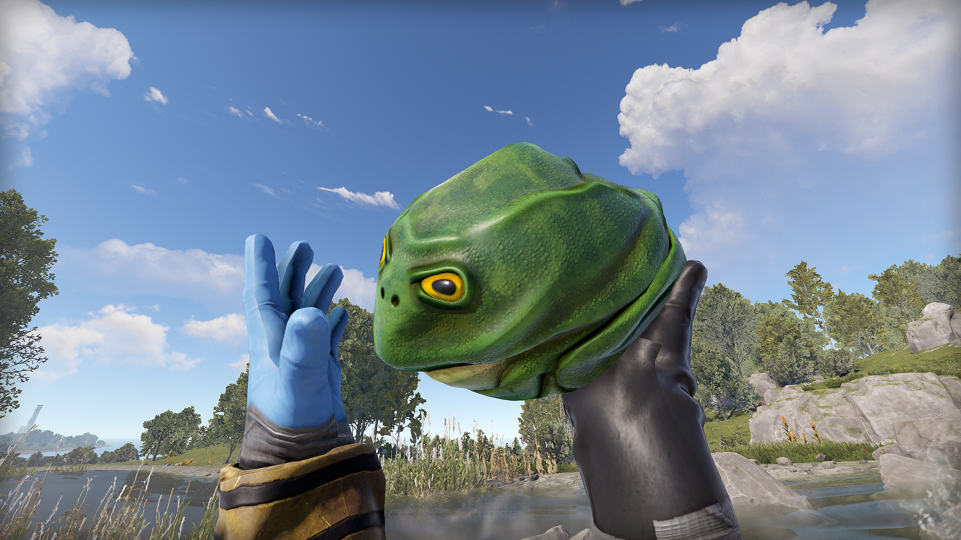 Frog Rock
