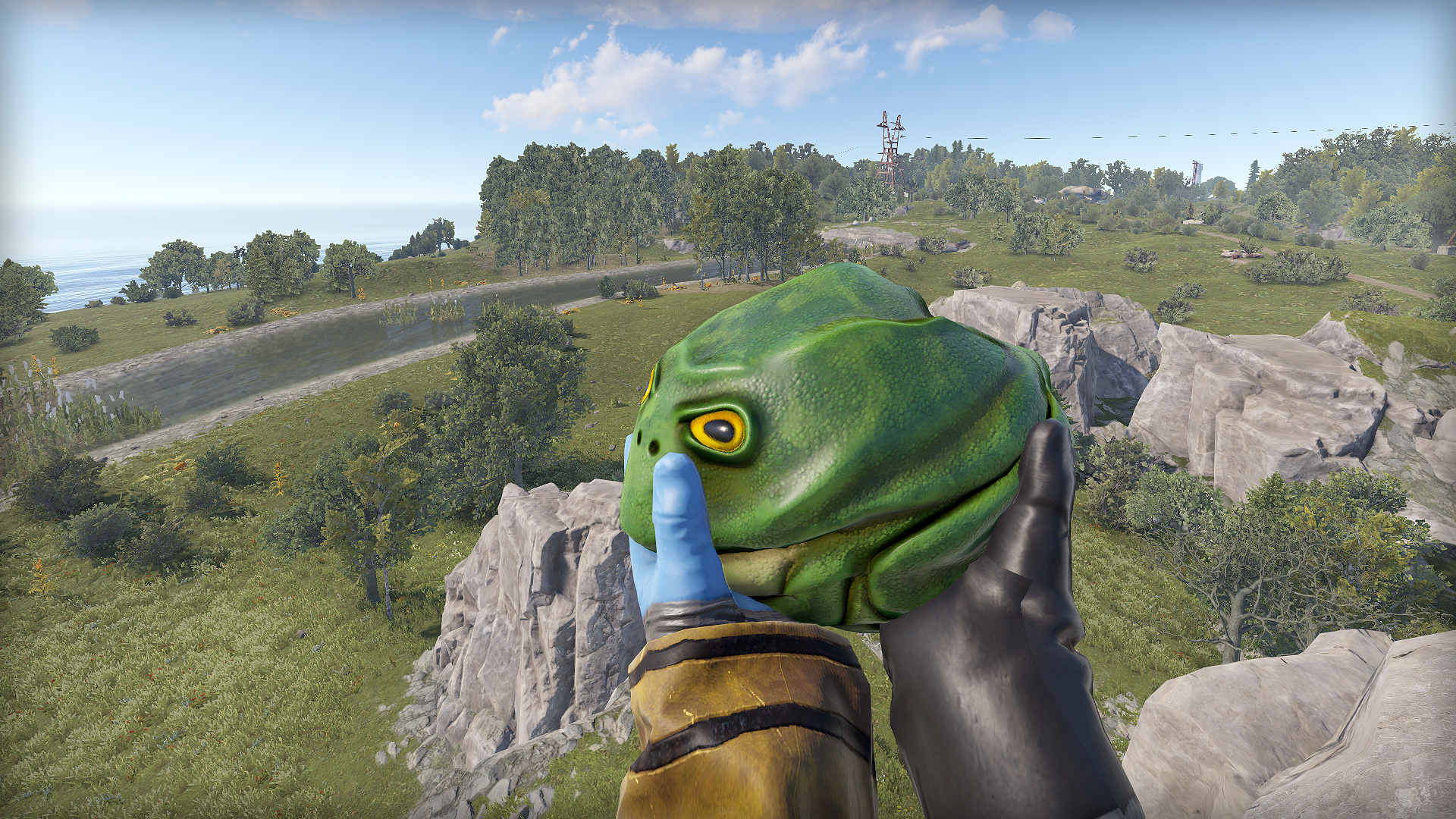 Frog Rock