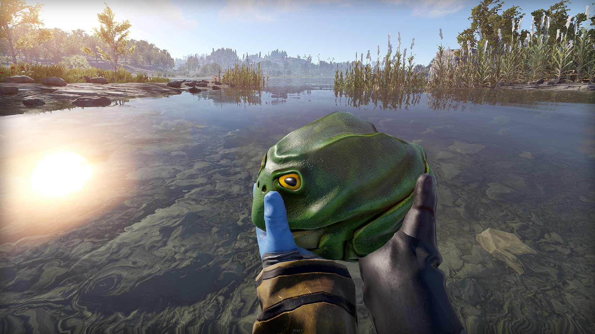Frog Rock