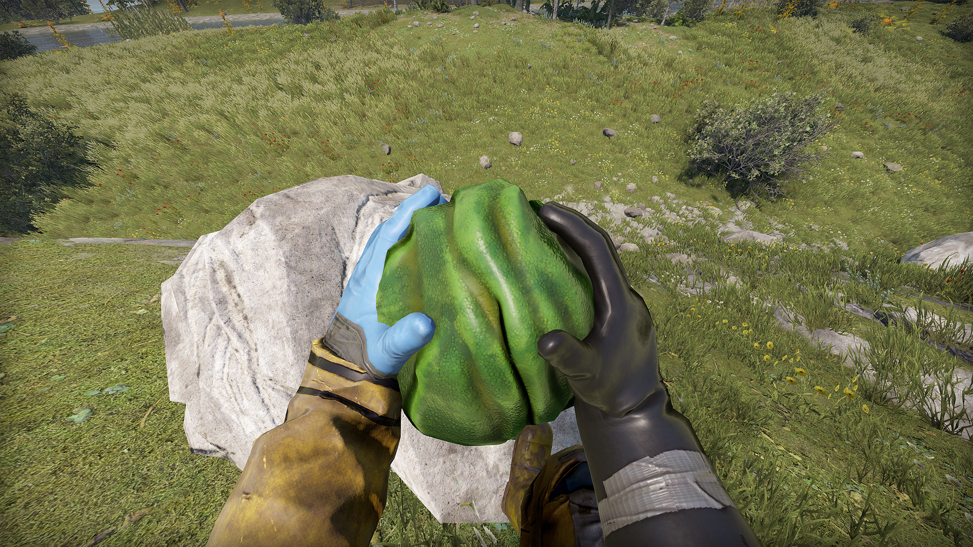 Frog Rock