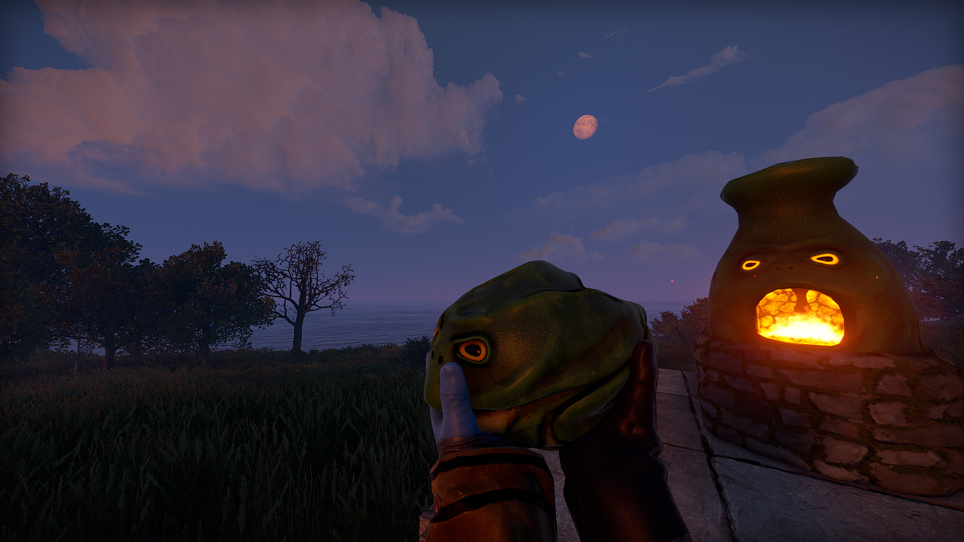 Frog Rock