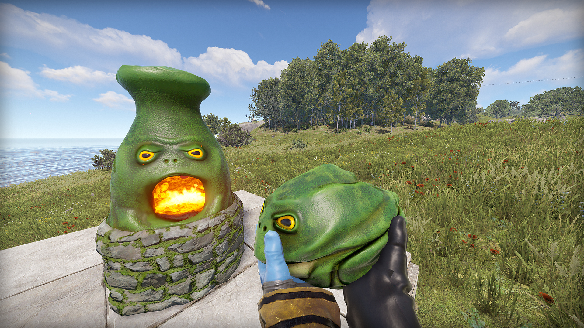 Frog Rock