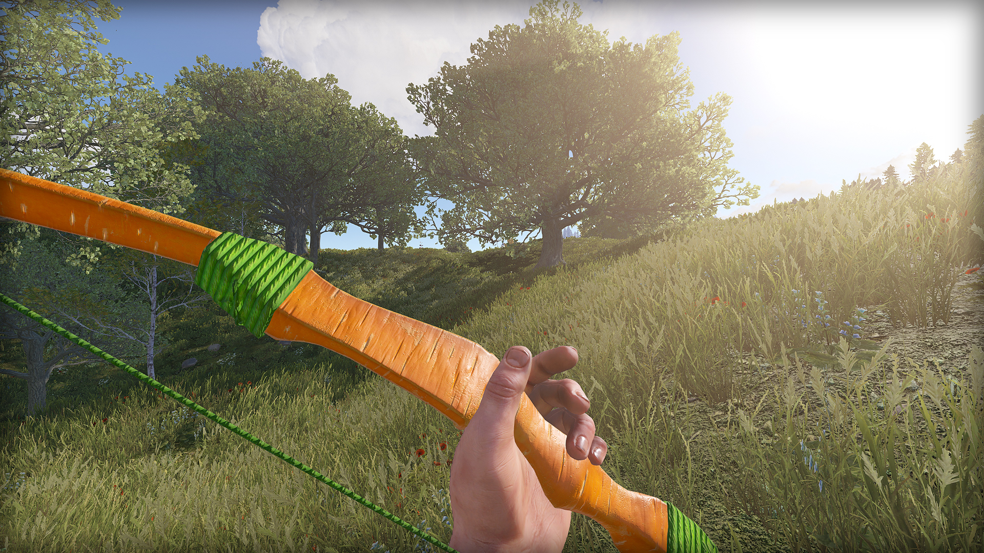 Carrot Bow