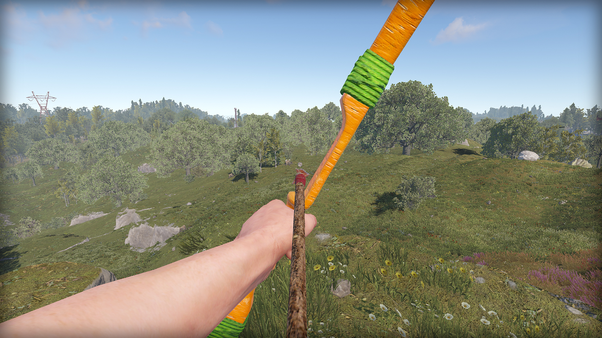 Carrot Bow