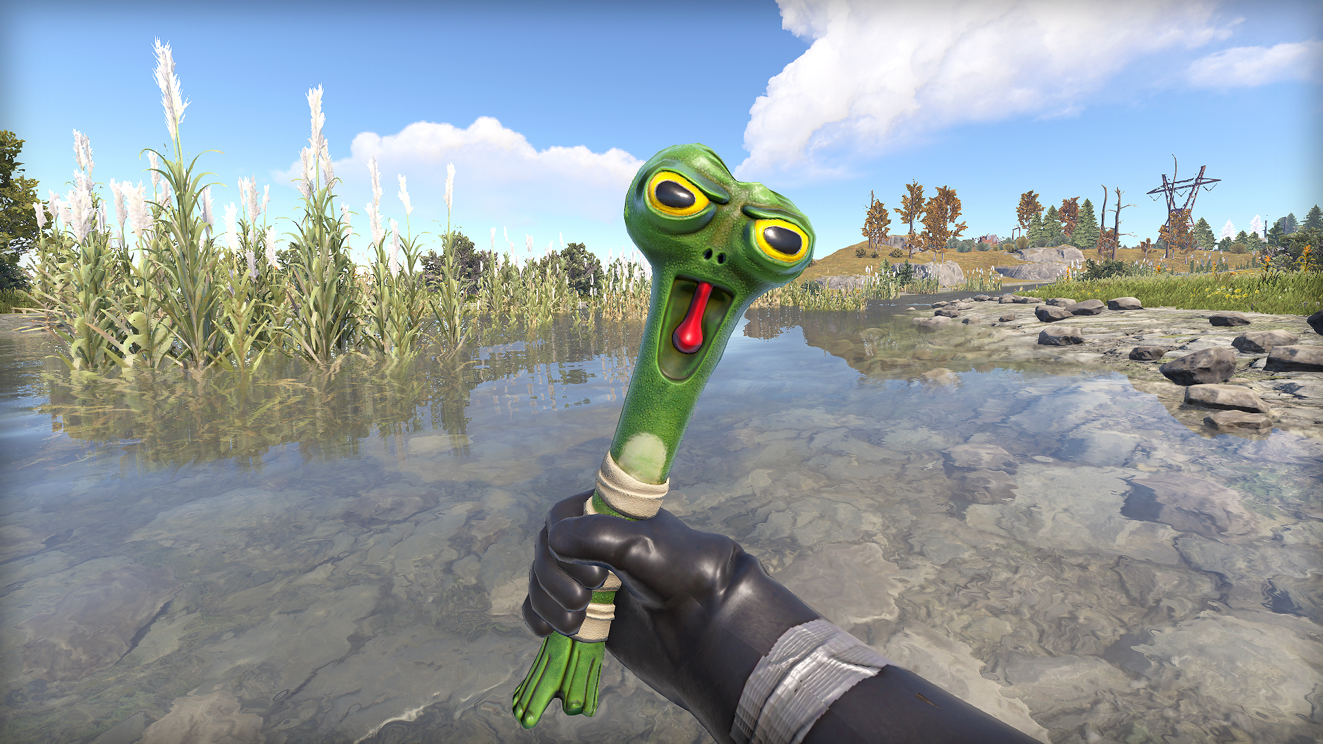 Frog Club