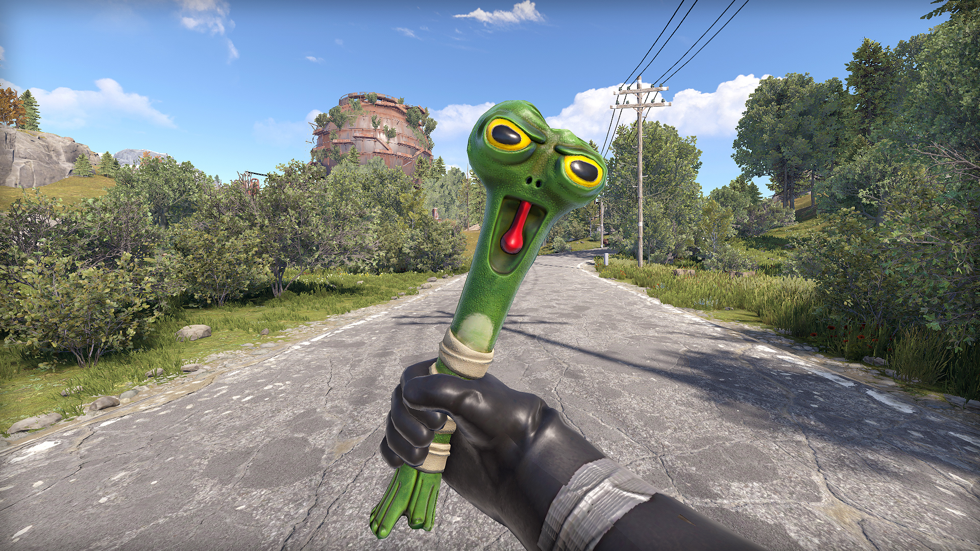 Frog Club