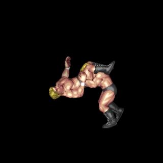 Swing Hurricane Rana (Run Up Turnbuckle(Standing))