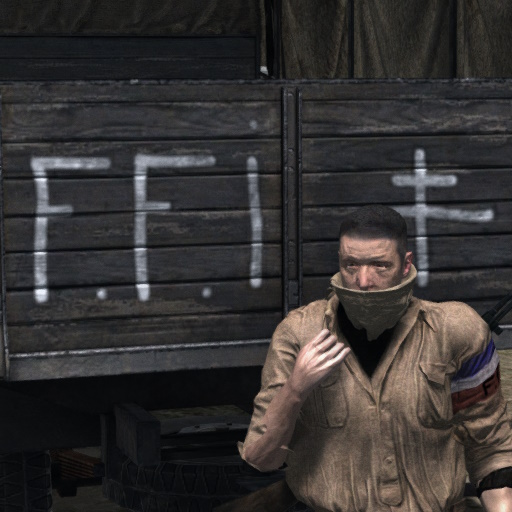 FFI: Echoes of Liberation