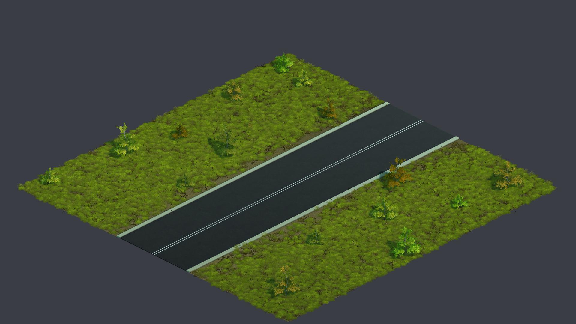 Birch wetlands plain road.tile