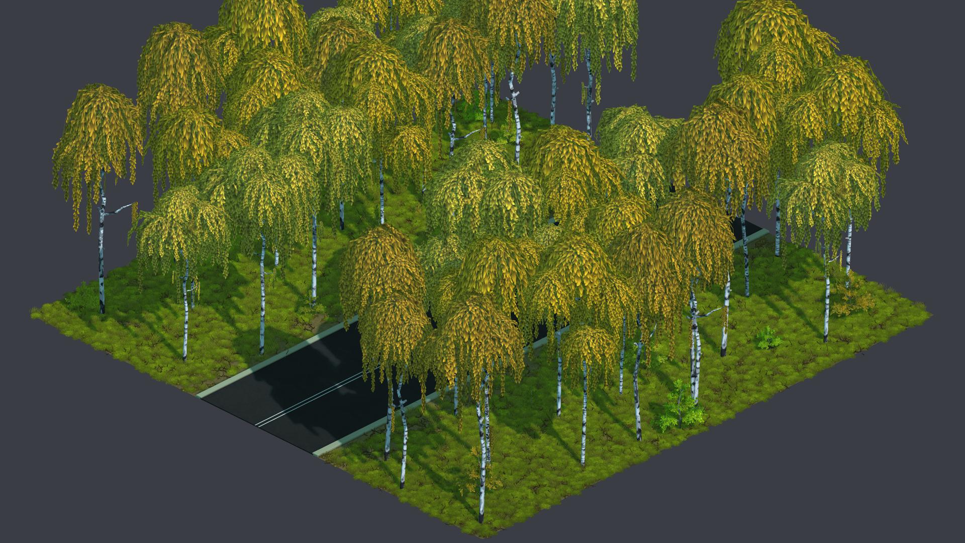 Birch wetlands forest road.tile