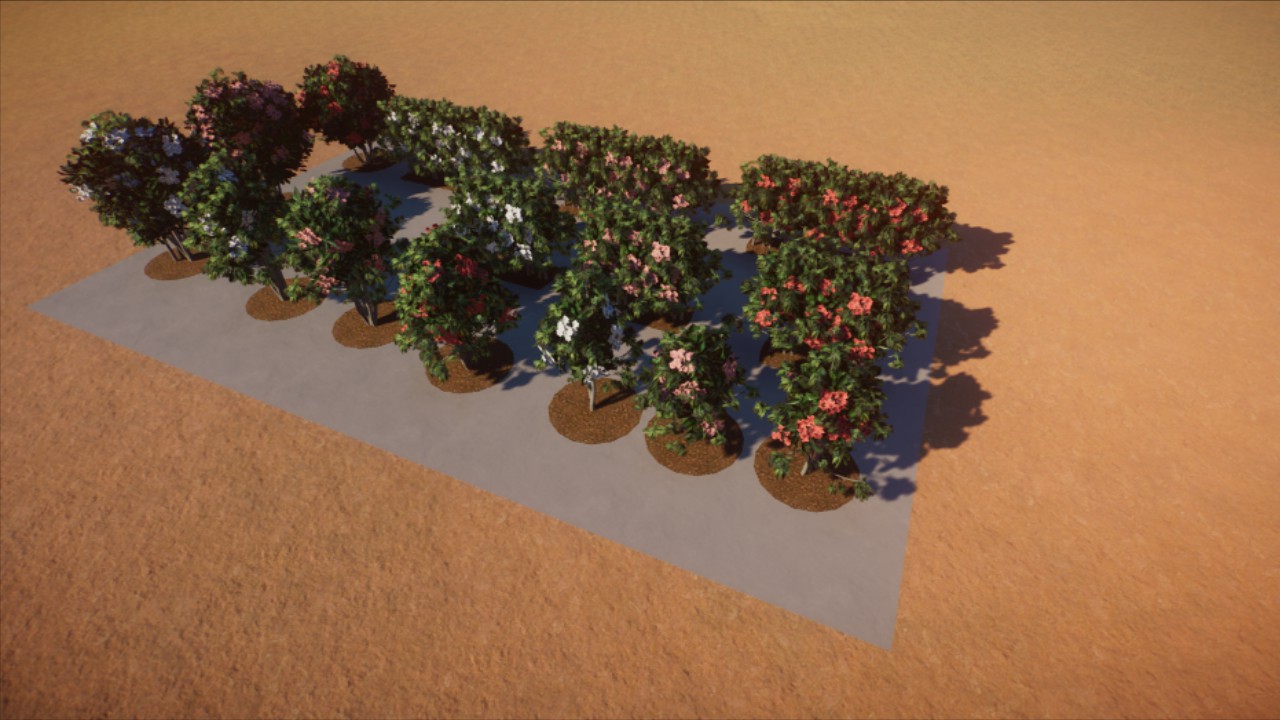 Oleander Pack - shrubs and hedges