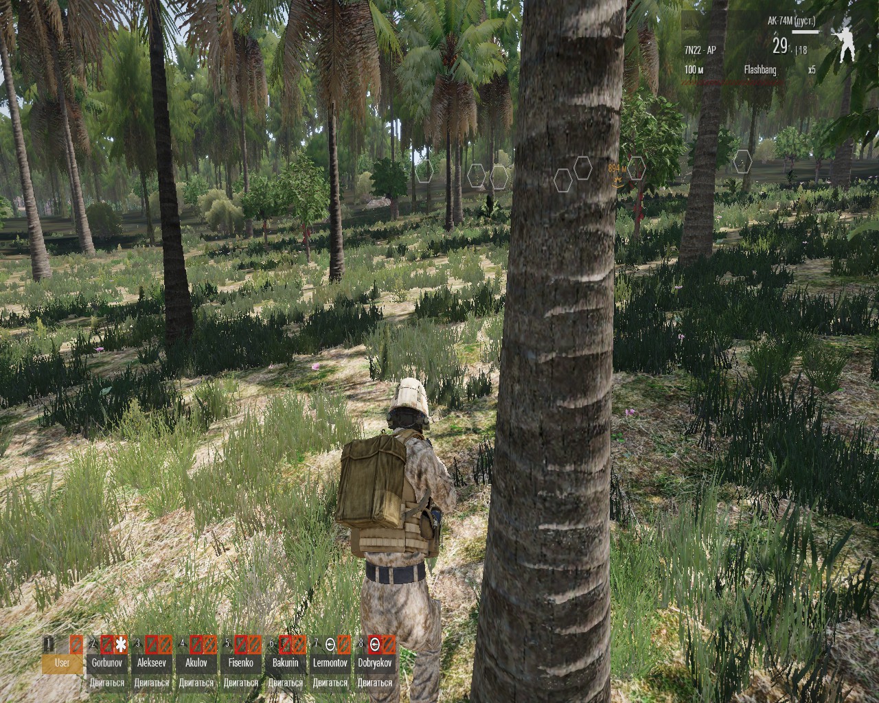 Russians and Iraq