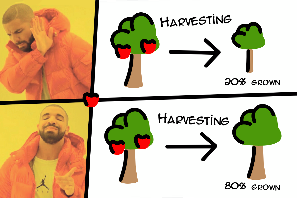 VPE Sensible Time Between Harvests For Trees