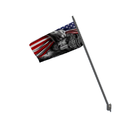 American flag with a dude preview