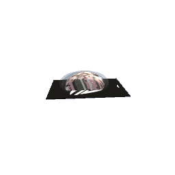 pc mouse preview