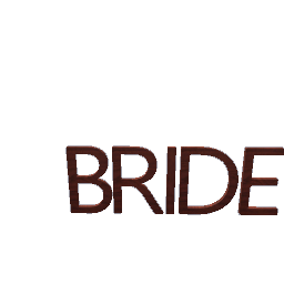 Bride wall decal preview