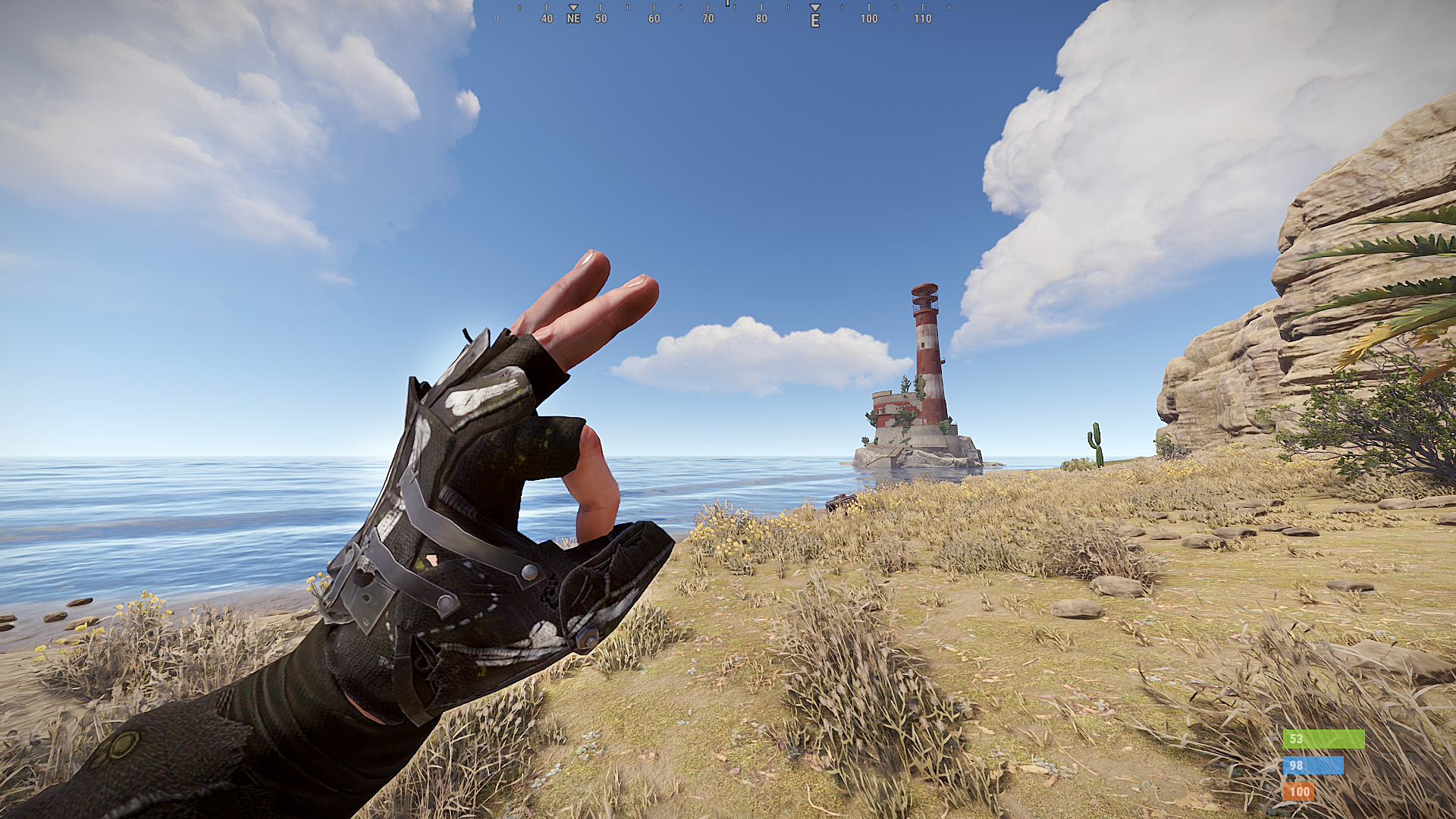 Pirate Roadsign Gloves