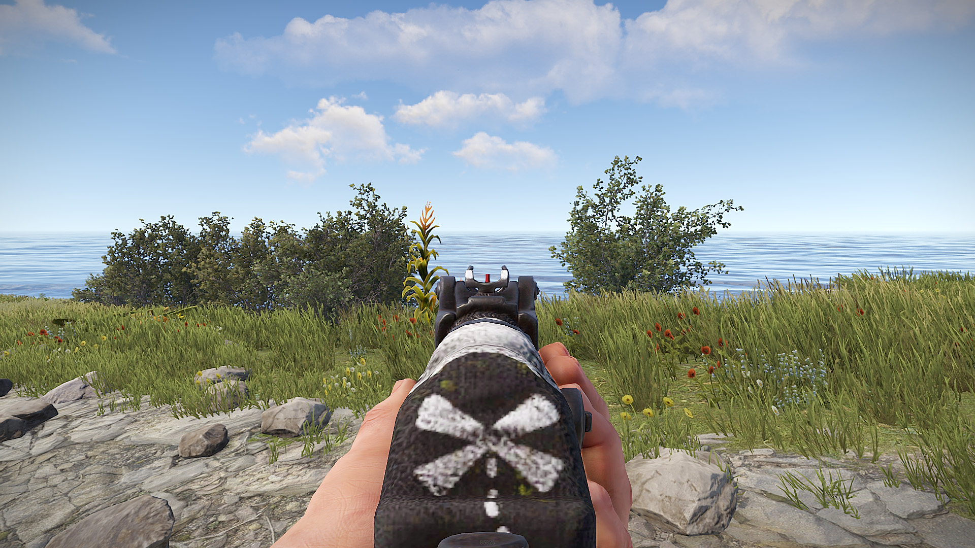 Pirate AR