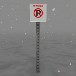 No Parking Sign
