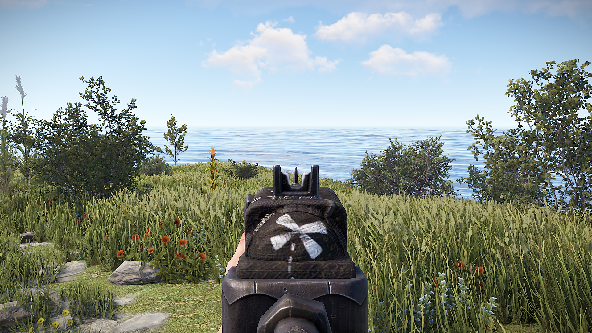 Pirate SAR