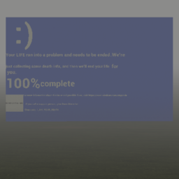 THE BLUE SCREEN OF DEATH