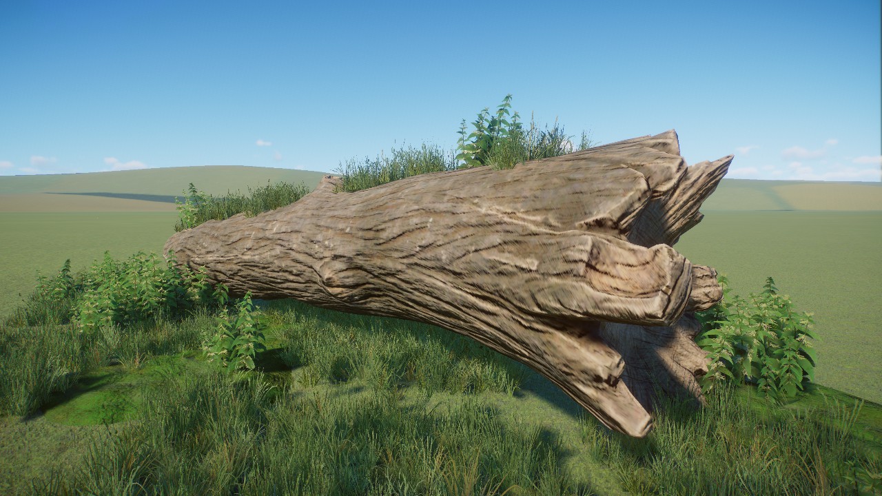 Overgrown Tree Trunk