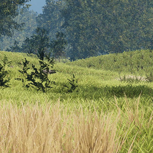 Cat Dog Plains Official V2