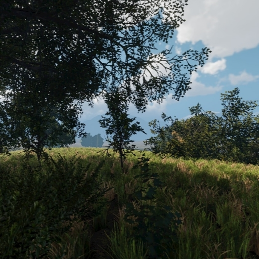 Whoadie Fields