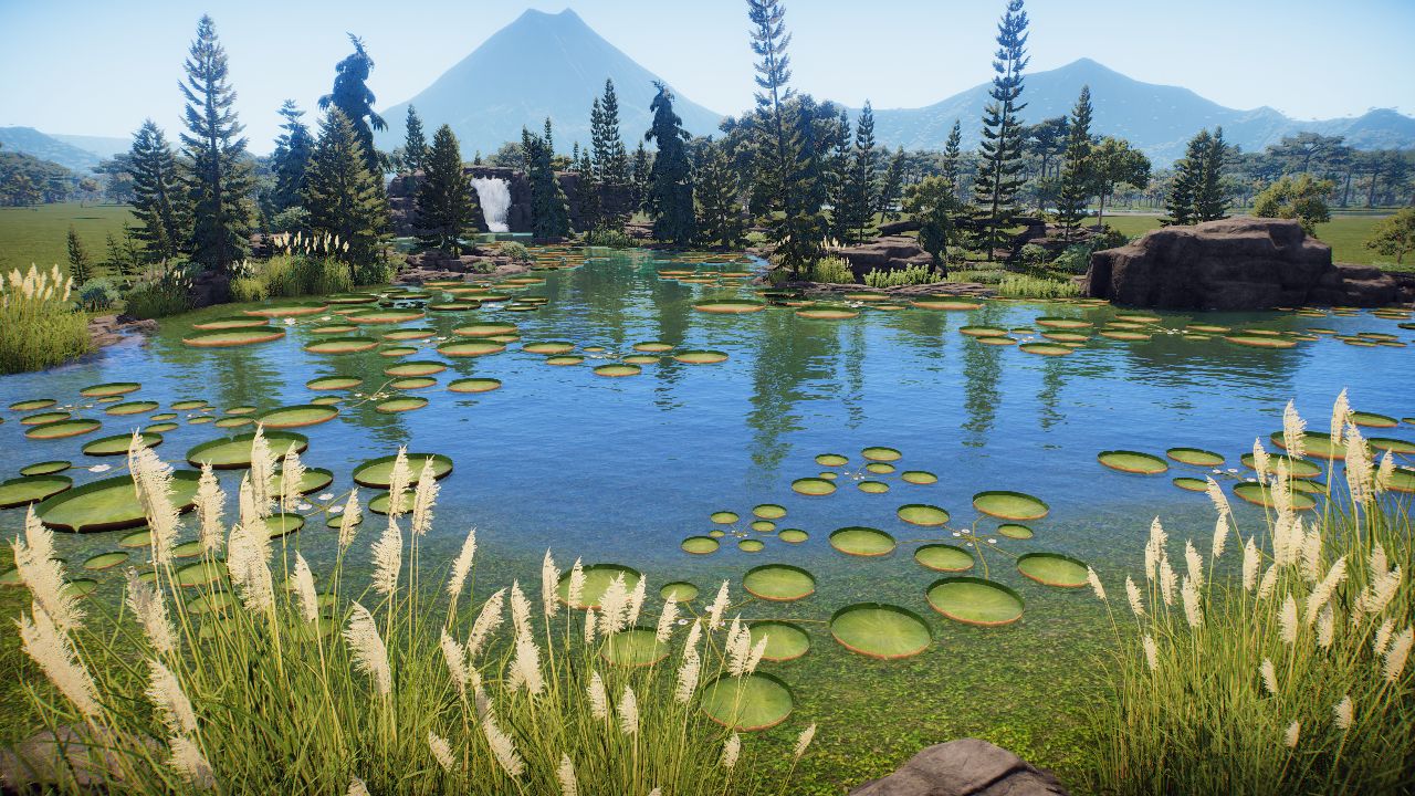 Nature Scenery