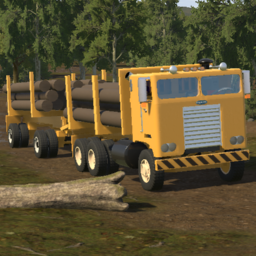 HESLER 1975 D830-H Logger