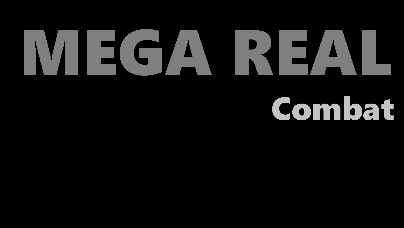 Mega Real: Combat