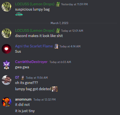 Suspicious Lumpy Bag