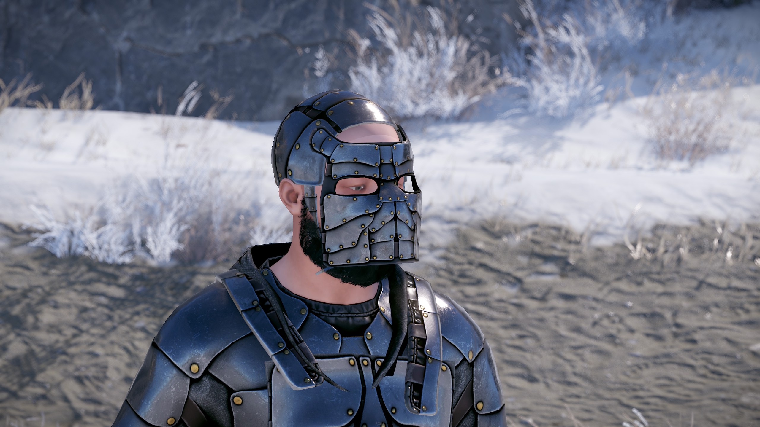 Hardsuit Facemask