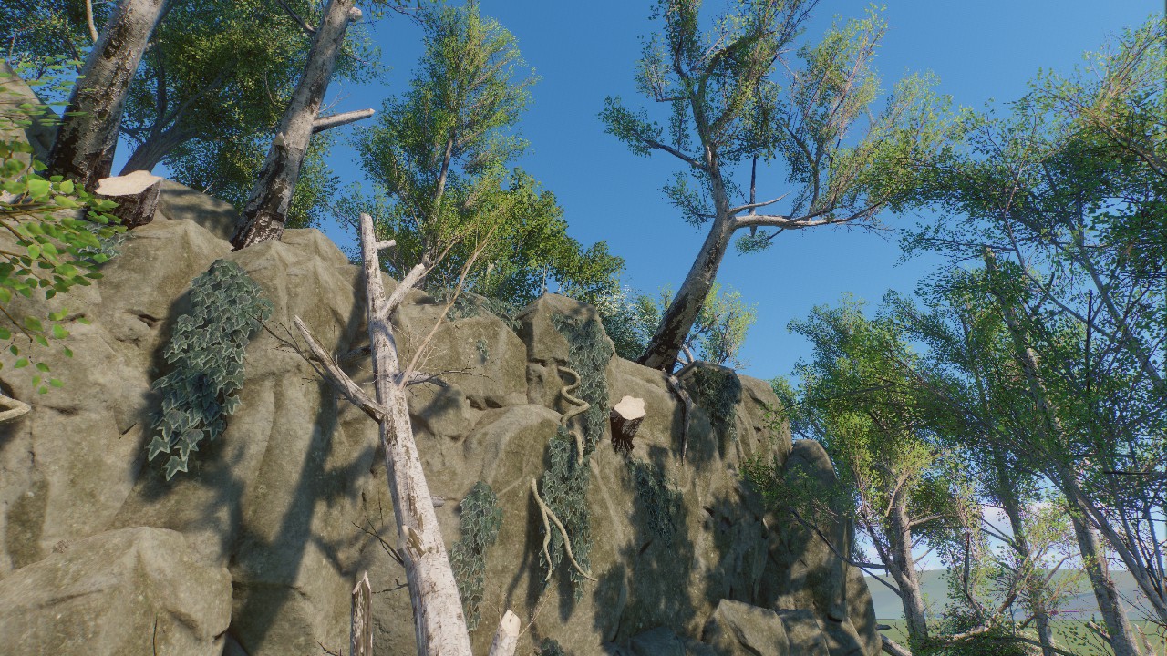 Cliff