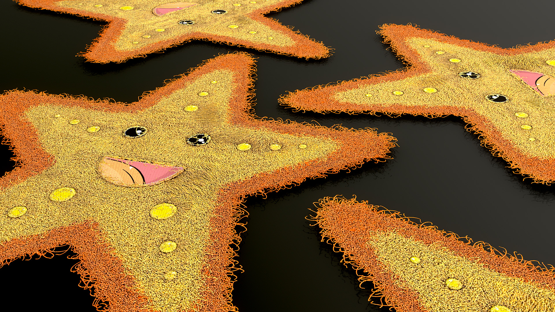 Starfish Rug