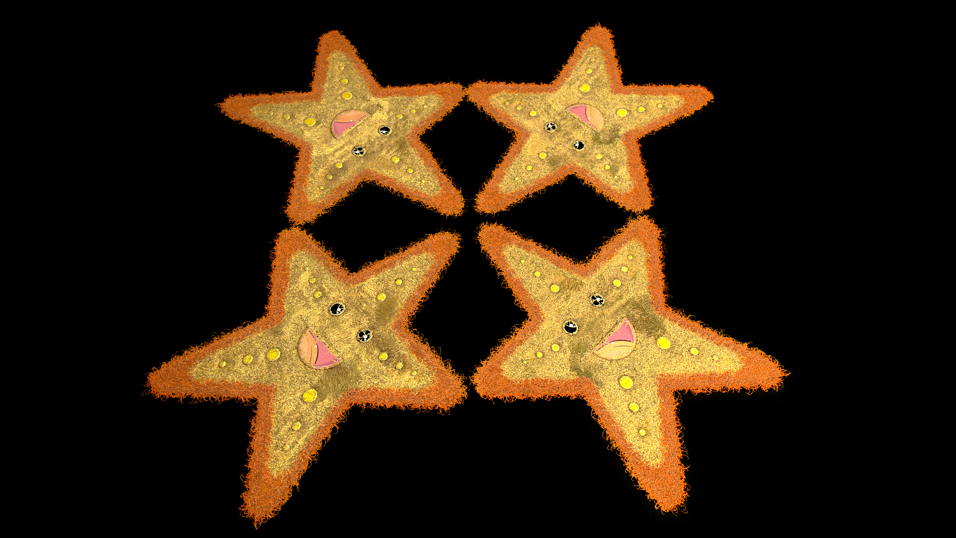 Starfish Rug