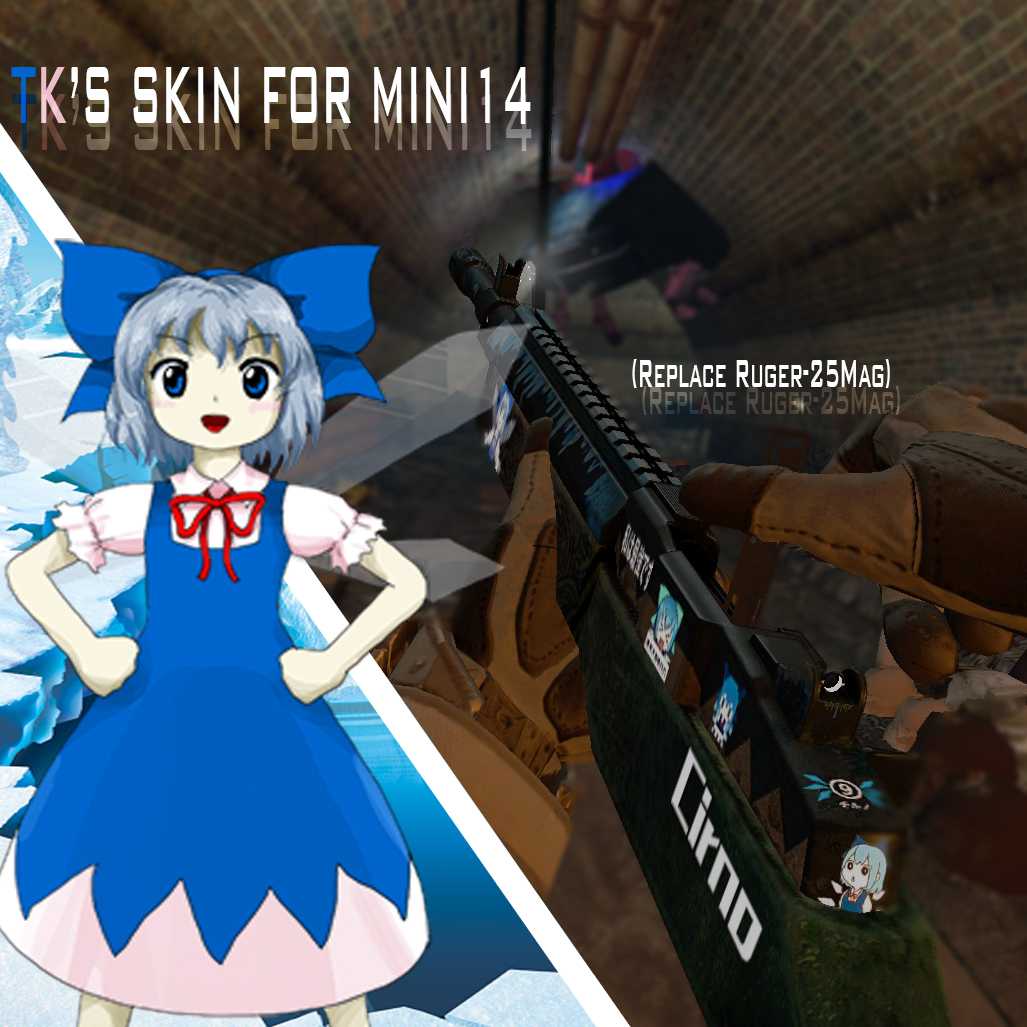 RUGER MINI14 FOR RUGUER-25MAG(TK'S SKIN ADDED)