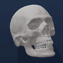 skull head (untextured)