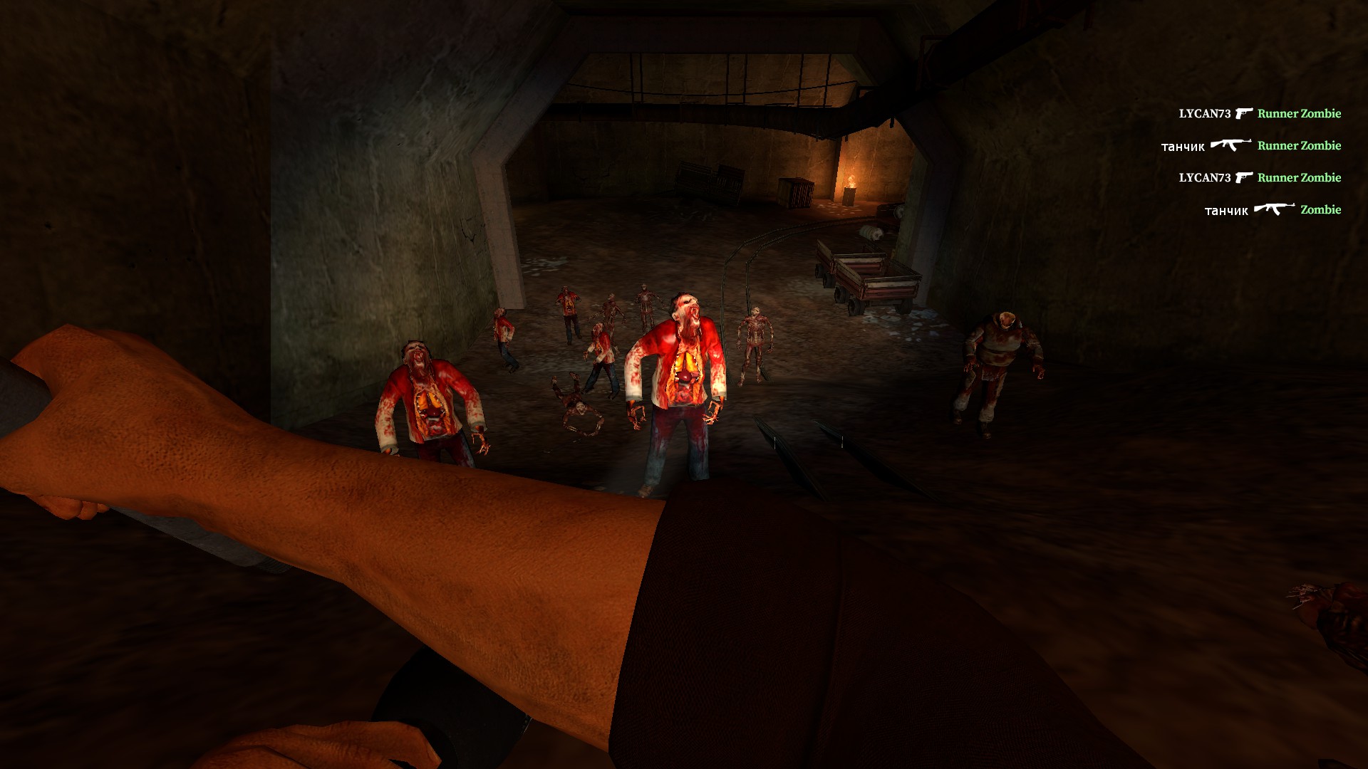 Half Life 2 infected