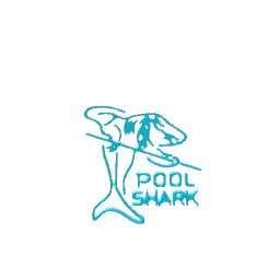 neon pool shark sign