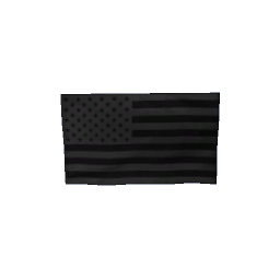 No quarter given flag