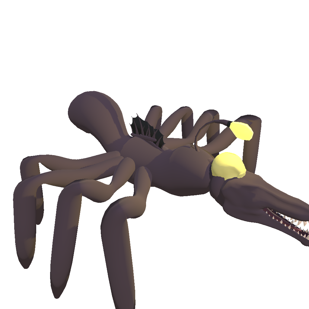 baby angler spider