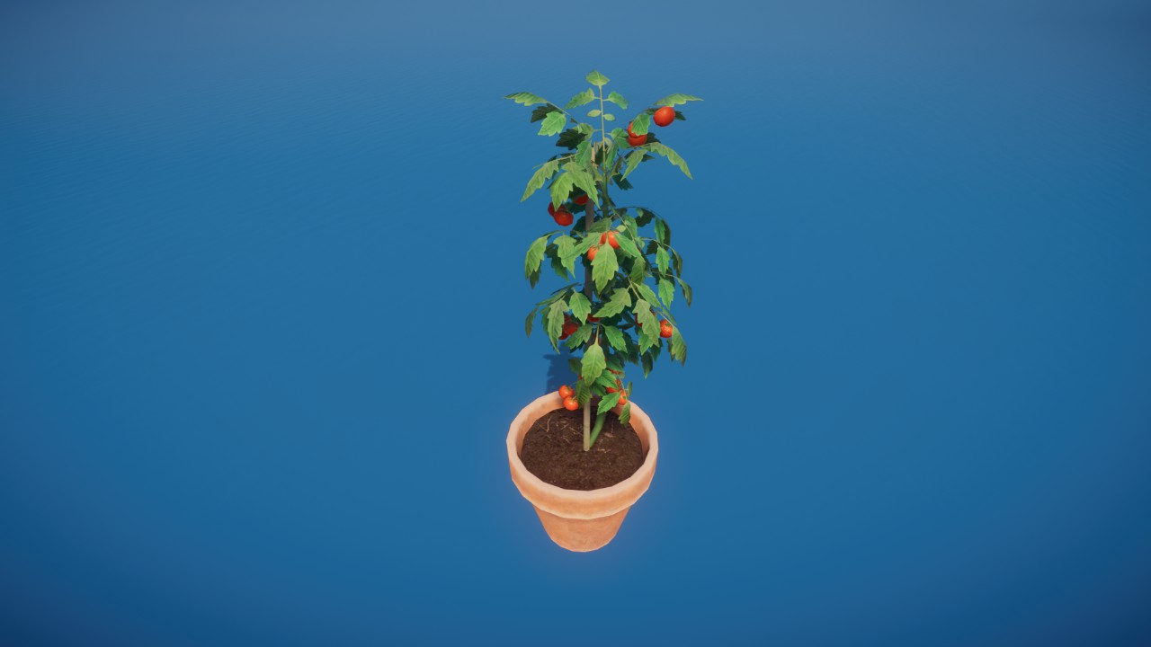 Prop - Potted Tomato Plant 01